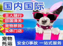 梅县航空快运国际宠物托运 【国